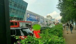 顺德陈村新闻爆料,揭秘陈村最新动态与热点事件